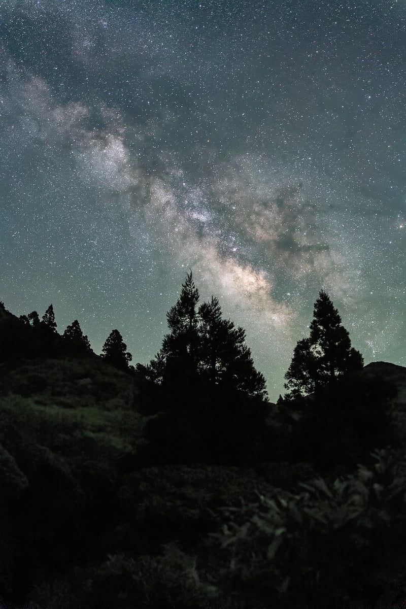 Galactic Survey Image